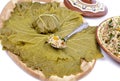 Vine leaves stuffed Royalty Free Stock Photo