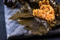 Vine leaves stuffed Royalty Free Stock Photo