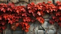 Vine on an old brick wall. Generative AI. Royalty Free Stock Photo