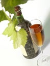 The Vine and old wine still-life Royalty Free Stock Photo