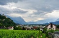 Vine plantations, gray clouds in the sky