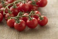 Vine with red ripe cherry tomatoes Royalty Free Stock Photo