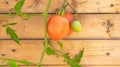 Vine red Roma plum tomato plant and unripe green tomato on a wood background, useful for copy space or a graphic banner, depicting Royalty Free Stock Photo