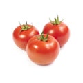 Vine-ripe tomatoes isolated Royalty Free Stock Photo
