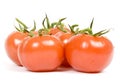 Vine Ripen Tomatoes Royalty Free Stock Photo