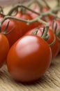 Vine ripened plum tomatoes Royalty Free Stock Photo