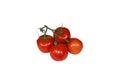 Vine ripened tomatoes Royalty Free Stock Photo