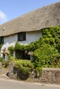 Vine on straw roof cottage at Porlock Weir, Somerset Royalty Free Stock Photo