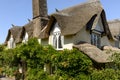 Vine and straw roof at Porlock, Somerset Royalty Free Stock Photo