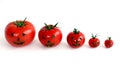 5 vine tomatoes with smiley faces in a row on white background Royalty Free Stock Photo