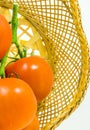 Vine Tomatos Royalty Free Stock Photo