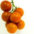 Vine Tomatos Royalty Free Stock Photo