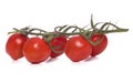 Vine tomatos Royalty Free Stock Photo