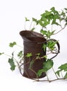 Vine and vintage water container