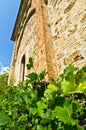 Vine and wall of RaÃÂa monastery established in 13. century Royalty Free Stock Photo