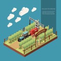 Vine Yard Isometric Composition