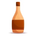 Vinegar bottle icon, cartoon style