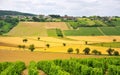 Vines and Agriculture, Sancerre, France