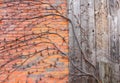 Vines Brick & Barn Board