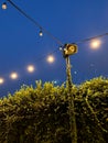 Vines that decorate a speaker pole with decorative lights in the garden at night Royalty Free Stock Photo