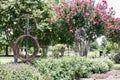 Vines and Flowers in a Garden at the West Tennessee Agricultural Research Center Royalty Free Stock Photo