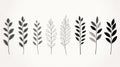 Minimalistic Symmetry: A Collection Of Delicate Pencil Sketches Of Plant Foliage