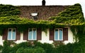 Vines leaves on house Royalty Free Stock Photo