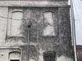 Vines overgrown on a white painted vintage brick wall and windows boarded up Royalty Free Stock Photo