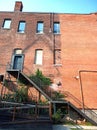 Vines on the Redbrick wall