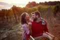 Vines in a vineyard in autumn. Harvesting grapes. Young couple celebrating harvesting grapes