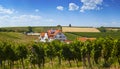 Vineyard against the big farmer house