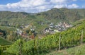 Vineyard in the ahr valley near Bad Neuenahr,Germany Royalty Free Stock Photo