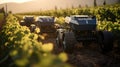 vineyard ai agriculture
