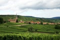 Vineyard, Alsace, France