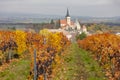 Vineyard in autumn near Pulkau, Lower Austria, Austria Royalty Free Stock Photo