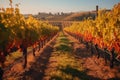 A vineyard in autumn, with rows of colorful grapevines, showcasing the beauty of autumn in wine-producing regions. Generative AI