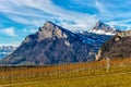 Vineyard with barren grapevines in winter in middle of a mountain landscape Royalty Free Stock Photo