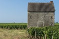 Vineyard in Beaune Royalty Free Stock Photo