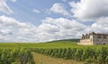 Vineyard in Bourgogne, Burgundy Royalty Free Stock Photo