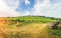 Vineyard on bright summer day under blue sky with white clouds in Vienna Royalty Free Stock Photo