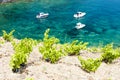 vineyard on Cap de Peyrefite near Cerbere, Languedoc-Roussillon Royalty Free Stock Photo