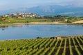 Vineyard and CarralogroÃÂ±o lake with Laguardia town as background, Rioja Alavesa, Spain Royalty Free Stock Photo