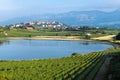 Vineyard and CarralogroÃÂ±o lake with Laguardia town as background, Rioja Alavesa, Spain Royalty Free Stock Photo