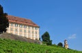 Vineyard at Castle Stainz, Styria, Austria Royalty Free Stock Photo
