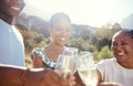 Vineyard celebration, wine or champagne glasses with family at an outdoor social event, picnic or park celebrating love Royalty Free Stock Photo