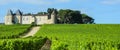 Vineyard and Chateau d`Yquem, Sauternes Region, Aquitaine, Franc