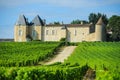 Vineyard and Chateau d'Yquem, Sauternes Region, Aquitaine, Franc