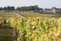 Vineyard and Chateau d`Yquem, Sauternes Region