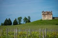 Vineyard and Chateau de Monbadon, Bordeaux Region, France