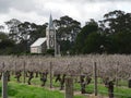 Vineyard and church